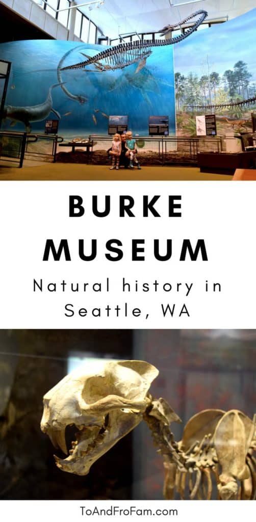 Burke Museum of Natural History 