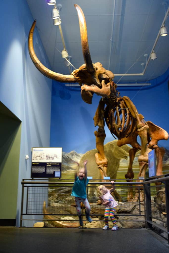 Burke Museum of Natural History: Kid-friendly activities in Seattle, WA // To & Fro Fam