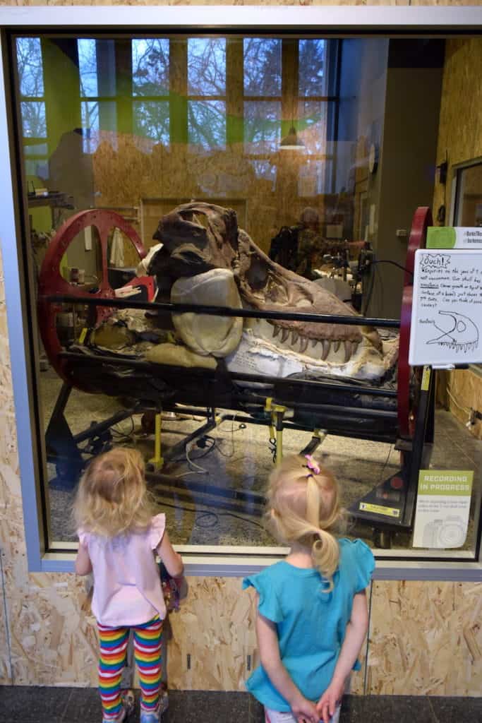 Top on my list of kid-friendly things to do in Seattle: Burke Museum of Natural History // To & Fro Fam