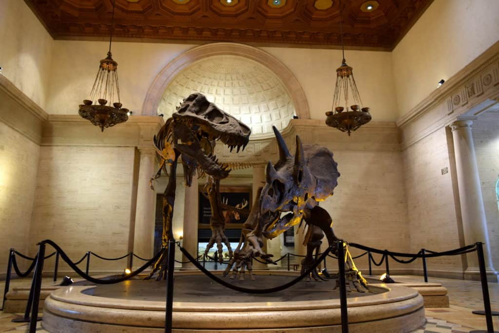 Everything you need to know to visit LA's Natural History Museum, California's most kid-friendly museum (full of dinosaurs, of course!). To & Fro Fam