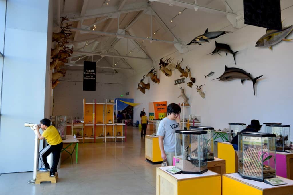Things to do in LA with kids: the family-friendly Museum of Natural History // To & Fro Fam