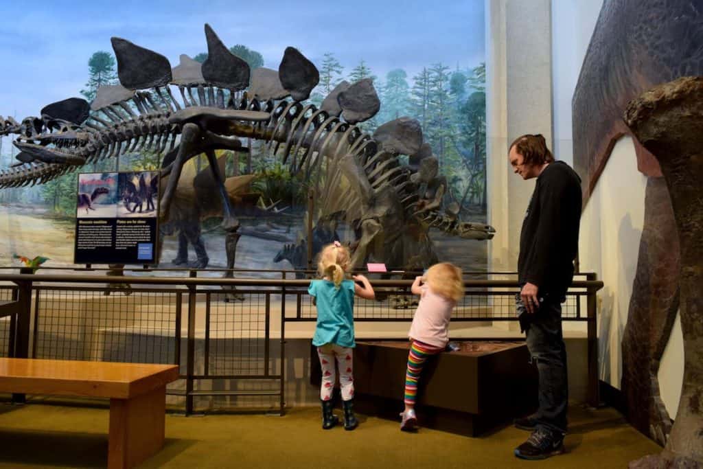 Dinosaur Museum, Seattle