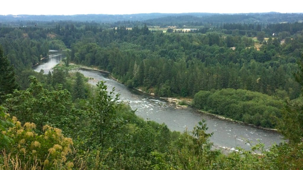 Clackamas River Milo McIver State Park Oregon / To & Fro Fam