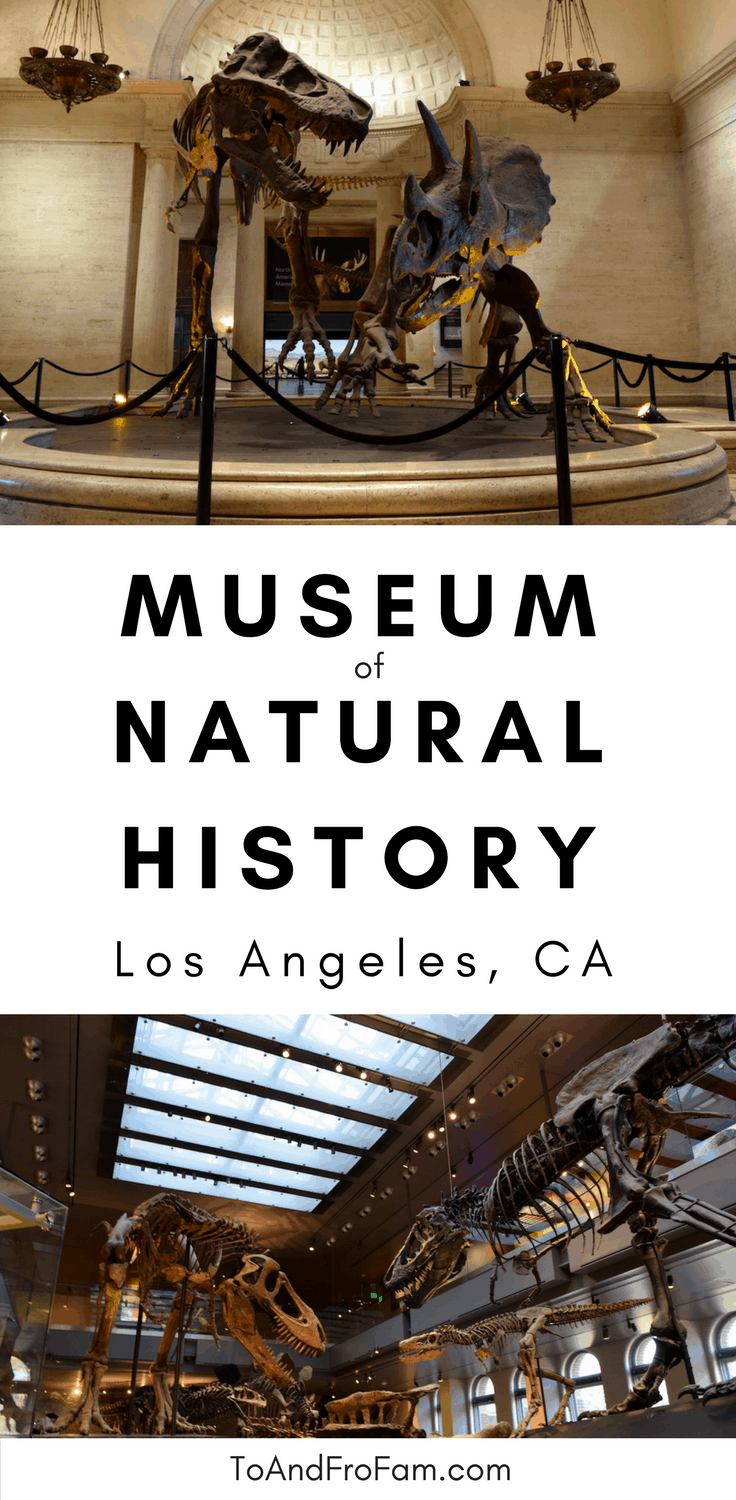 Visiting LA's Museum of Natural History with kids: A dinosaur-lover's paradise! // To & Fro Fam