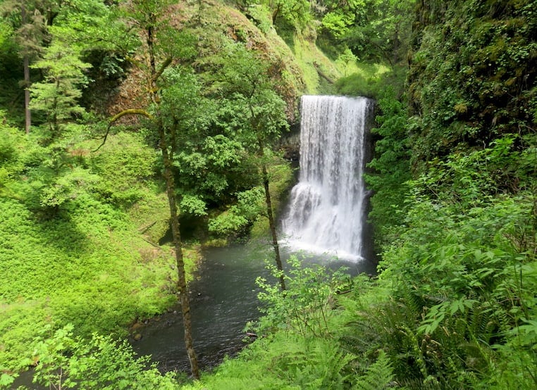Silver Falls State Park near Salem, OR is just one phenomenal day trip from Portland, Oregon. Waterfalls, mountains, beaches, rivers, adorable small towns in Oregon: I share 15 of the best quick trips from PDX. To & Fro Fam