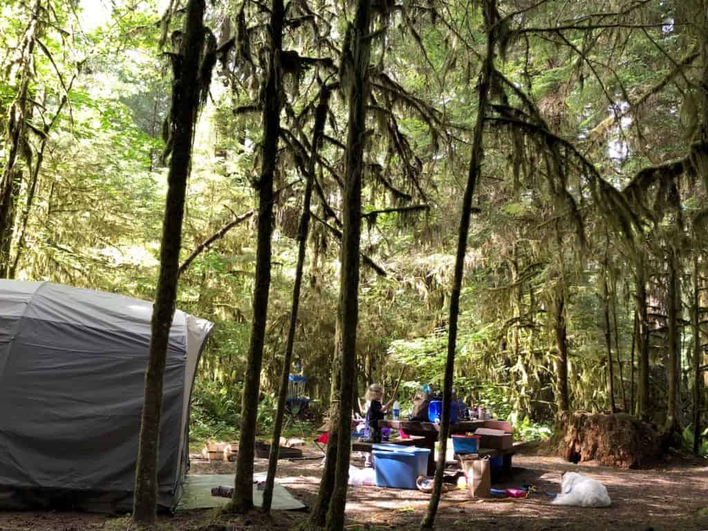 Camping with kids in Gifford Pinchot National Forest, Washington. To & Fro Fam