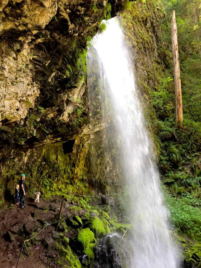 Explore Gifford Pinchot National Forest with kids to see waterfalls, enjoy kid-friendly hikes, and explore Washington. To & Fro Fam
