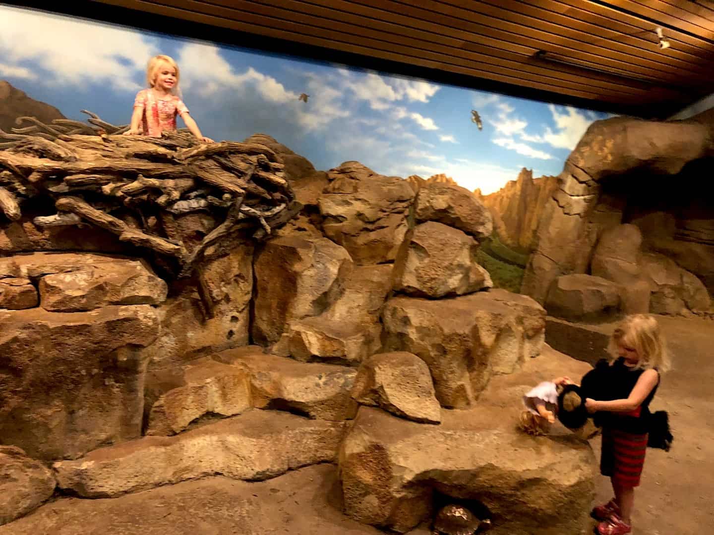hands-on-play-at-central-oregon-s-high-desert-museum-with-kids