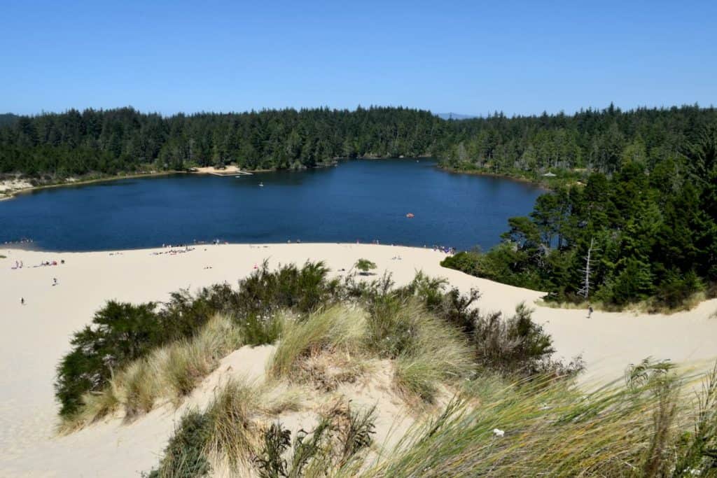 Sand dunes in Florence Oregon