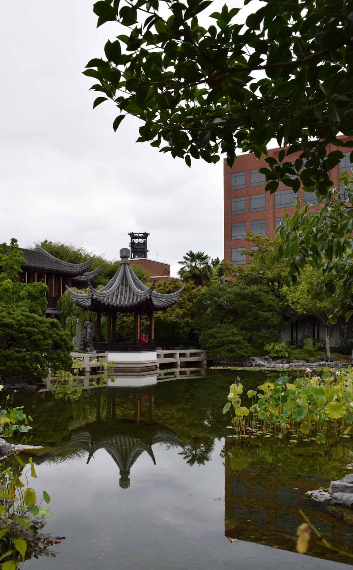 Portland Oregon's Lan Su Chinese Garden is a hidden gem: In the heart of downtown Portland, this peaceful refuge is a destination you definitely want on your Portland itinerary. To & Fro Fam
