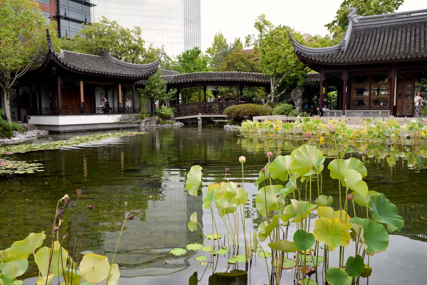 Peace In Downtown Portland Lan Su Chinese Garden With Kids To