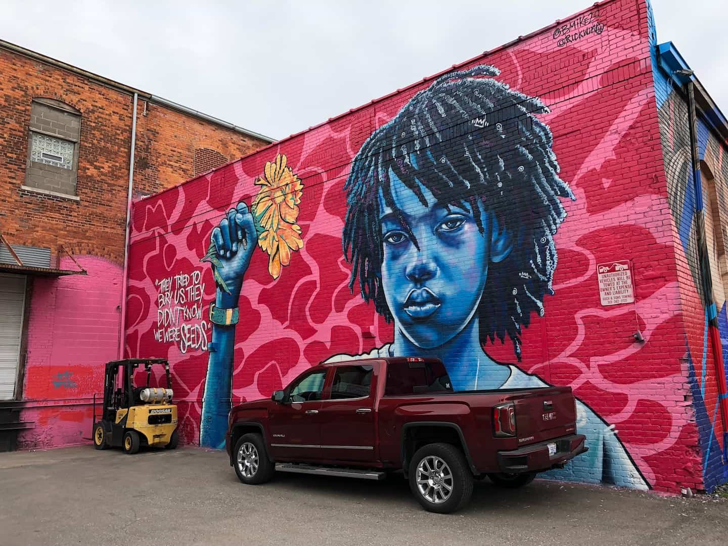 Detroit street art is concentrated in Eastern Market, a neighborhood that has literally 100s of murals. This is a must-do activity in Detroit! To & Fro Fam