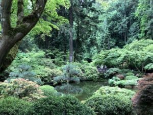 Find your zen at the Portland Japanese Garden with kids - To & Fro Fam