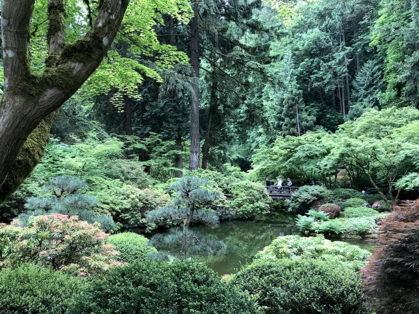 Fall Splendor In The Portland Japanese Garden Northwest Travel Magazine