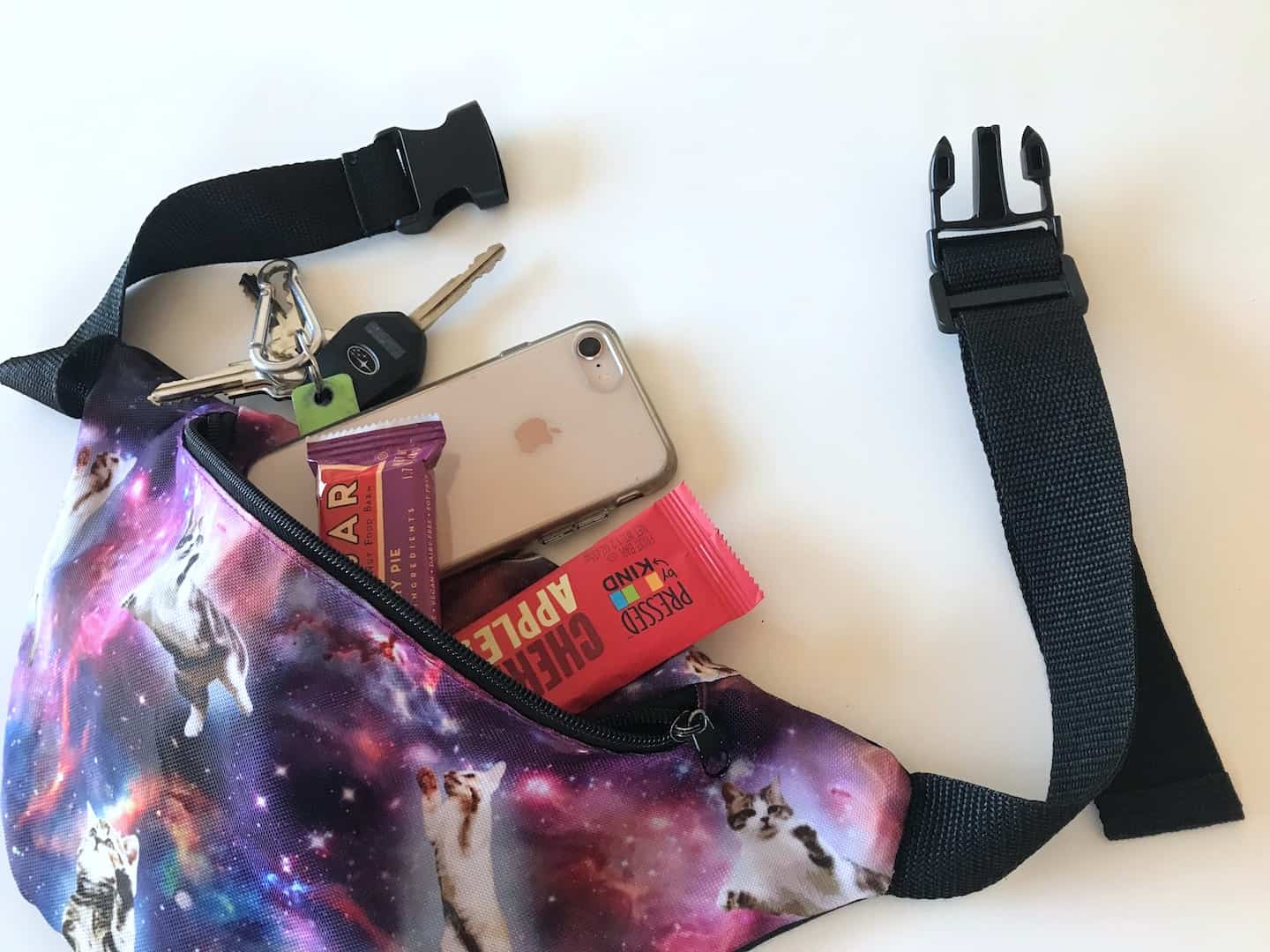 fanny packs fanny packs
