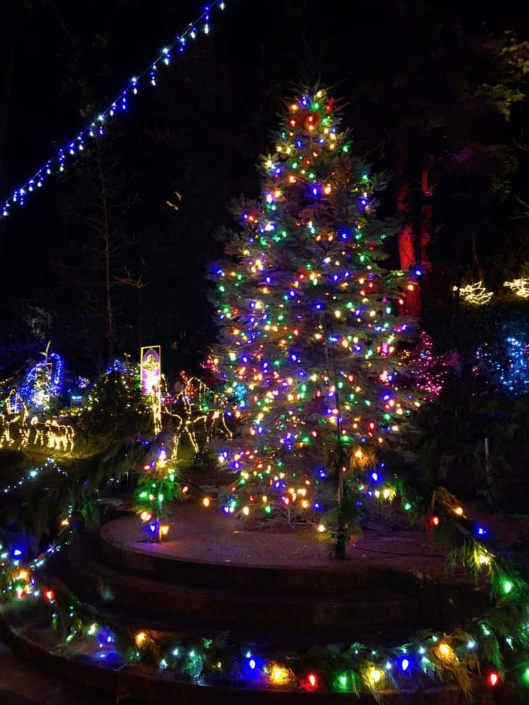 Best holiday events in Portland for families, including Christmas lights at the Grotto, and much more!