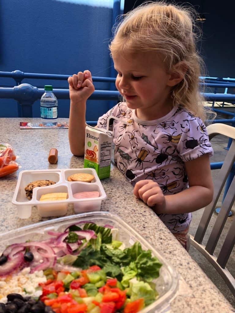 Doing Disney on a budget? Here's how to save on food at Disneyland. To & Fro Fam