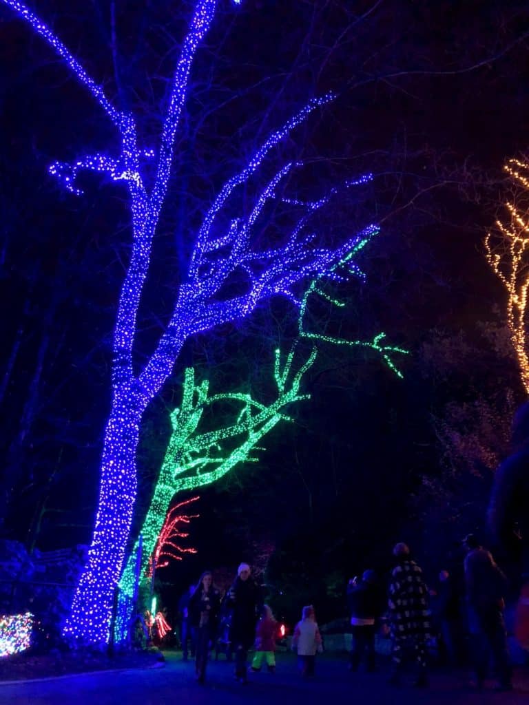 Looking for Portland holiday events? Going to the Portland ZooLights with kids at the Oregon Zoo is an unforgettable nighttime family activity! To & Fro Fam
