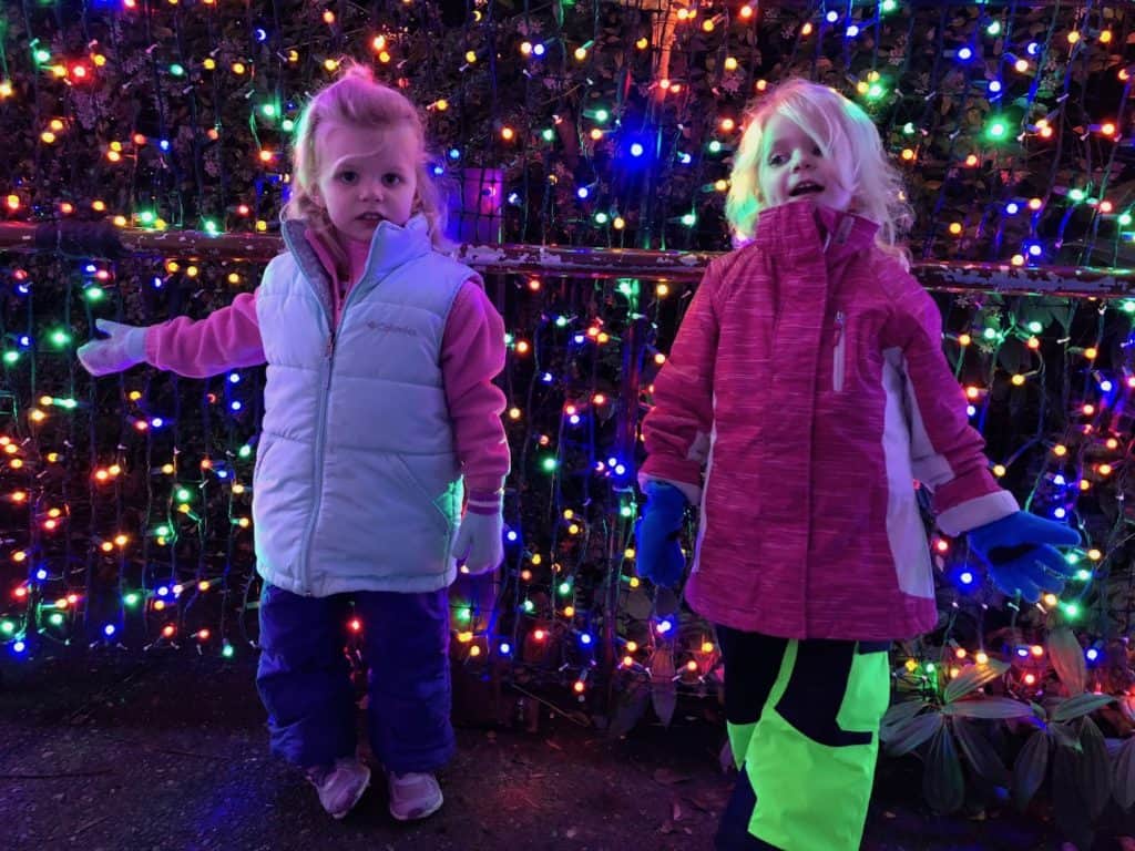Looking for Portland holiday events? Going to the Portland ZooLights with kids at the Oregon Zoo is an unforgettable nighttime family activity! The light tunnel is beautiful for family photos. To & Fro Fam