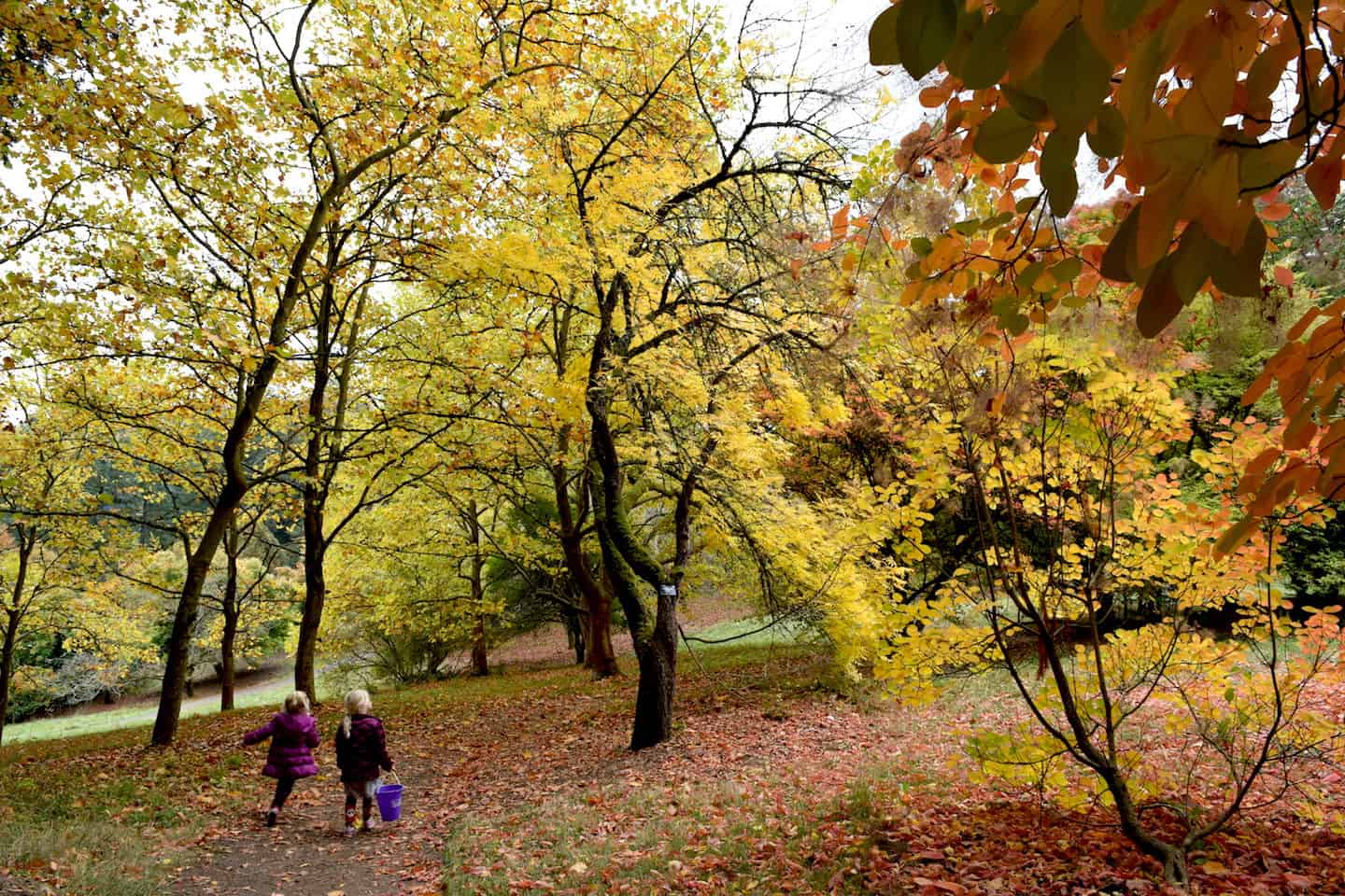 Wondering what to do with kids in Portland? The Hoyt Arboretum is a gorgeous (and free) family hike in Portland, Oregon. / To & Fro Fam