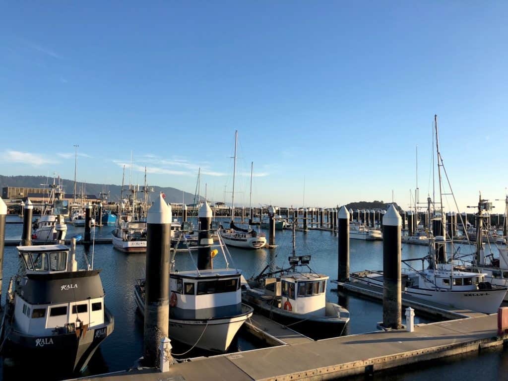 Wondering what to do in Crescent City with kids? From Redwoods to breweries and from beaches to lighthouses, my Crescent City, CA guide has everything you need to know for a Northern California family vacation. To & Fro Fam