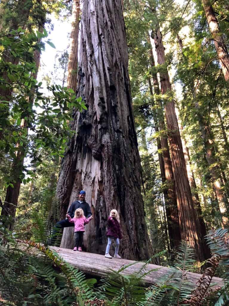 Wondering what to do in Crescent City with kids? From Redwoods to breweries and from beaches to lighthouses, my Crescent City, CA guide has everything you need to know for a Northern California family vacation. To & Fro Fam