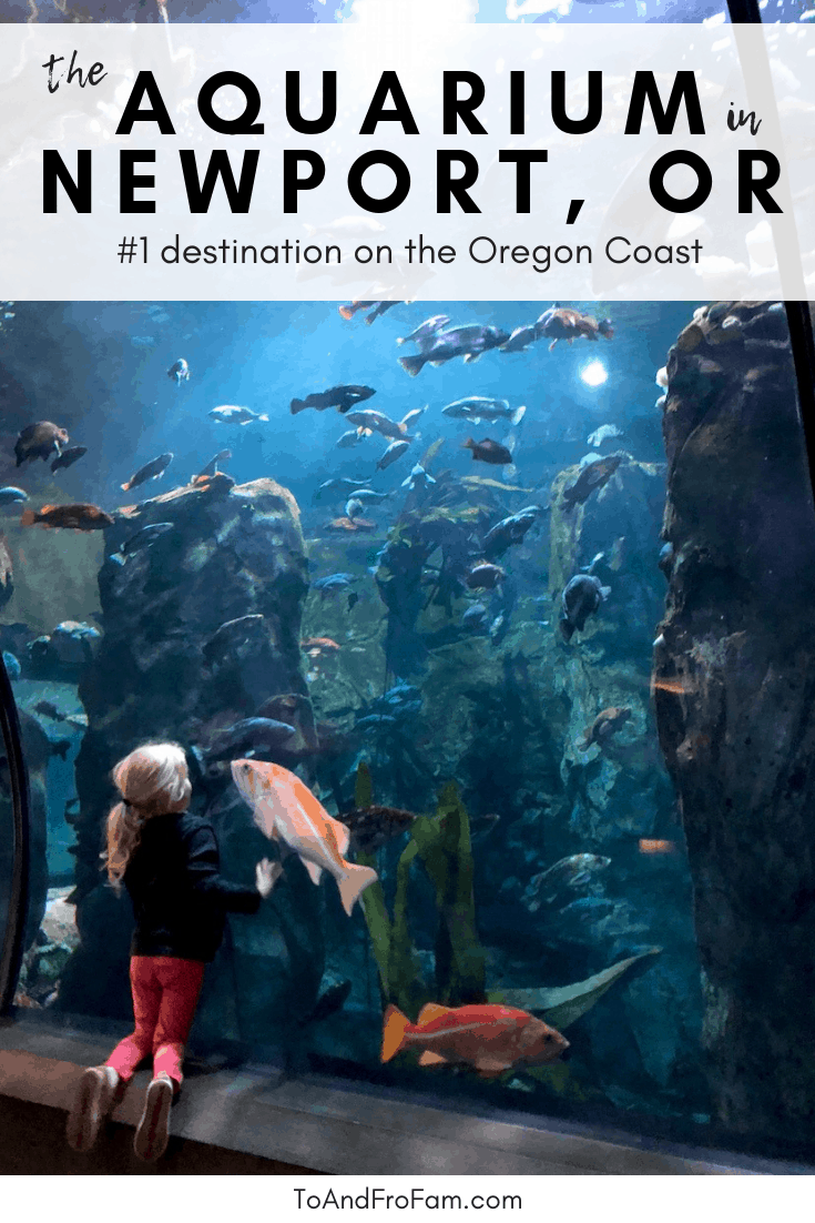 Going to the Oregon Coast on a family vacation? The Oregon Coast Aquarium with kids is one of the most family-friendly activities on the coast. Here, everything you need to know to visit this Newport aquarium! To & Fro Fam