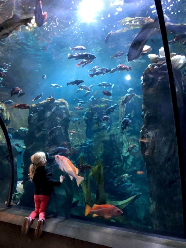 Planning Oregon family travel? My post on the aquarium in Newport is a must-do activity when you go to the Oregon Coast with kids. To & Fro Fam