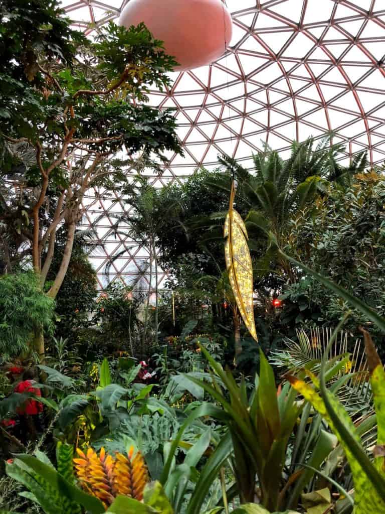 Wondering what to do in Vancouver, BC on a rainy day? The indoor garden at the Bloedel Conservancy is a jungle and home to 100s of free-flying birds! To & Fro Fam