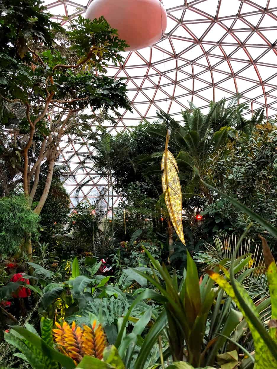 Bloedel Conservatory In Vancouver: Things To Do In Rainy BC, Canada ...