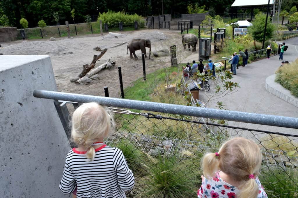 Oregon Zoo Activities