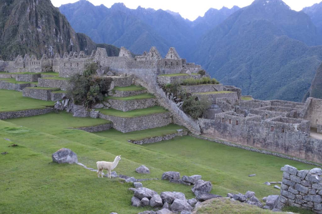 Is Machu Picchu on your travel bucket list? Here's everything you need to know to visit Machu Picchu on the winter solstice. Peru travel: To & Fro Fam