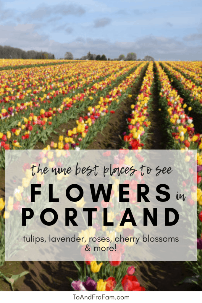 blomst festivaler i Oregon og de bedste steder at se blomster i Portland. Til Fro Fam