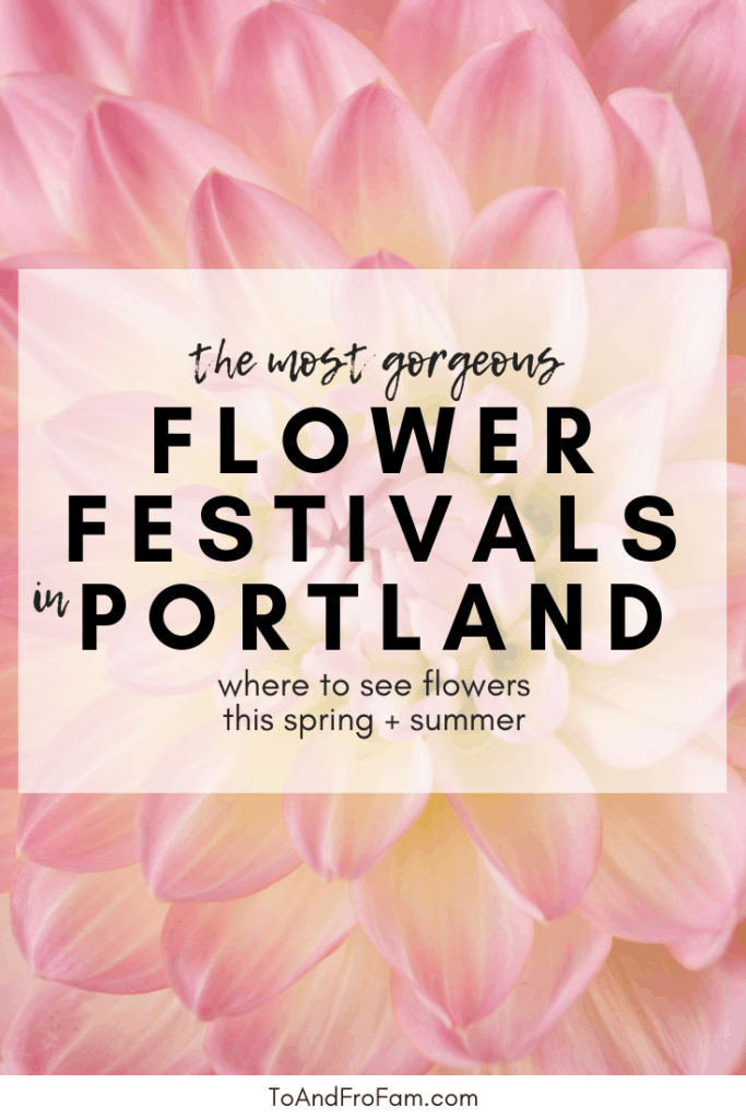 9 virágfesztiválok Portlandben és a közelben, valamint más helyek, ahol virágokat, például rózsákat, dáliákat, tulipánokat, levendulát és így tovább. Ide-oda Fam