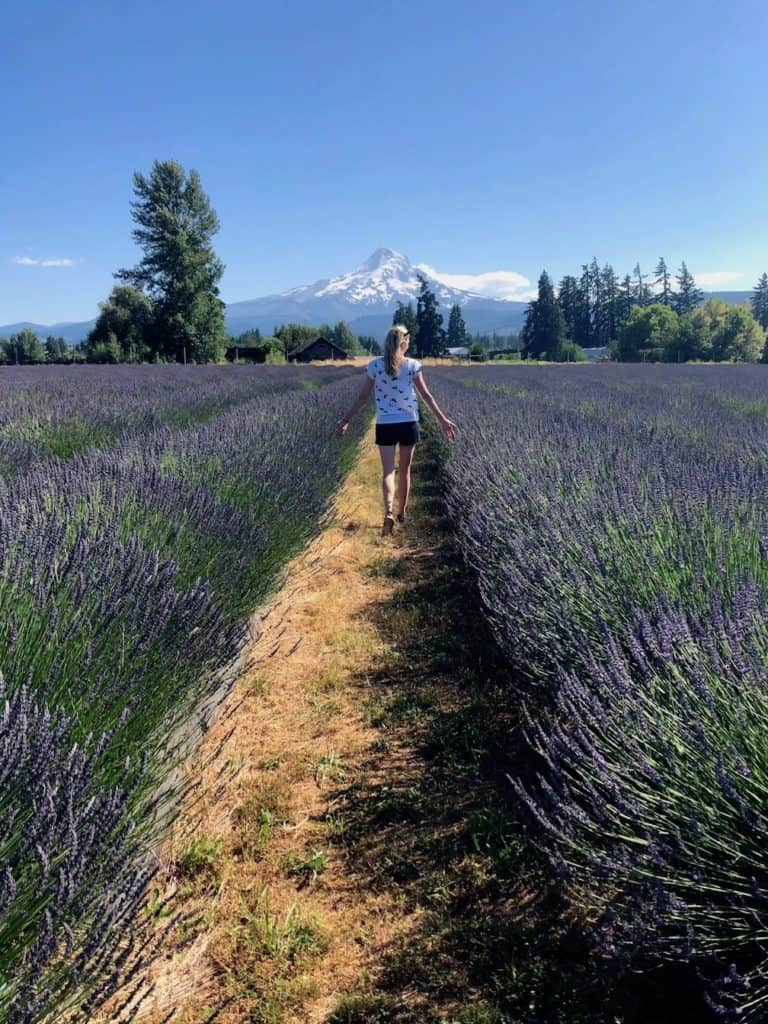 Diese Oregon Lavender Farm auf Mt. Hood ist die Heimat eines der besten Blumenfeste in Portland. To Fro Fam