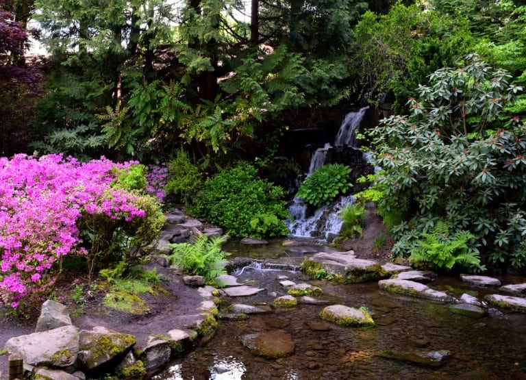  a Crystal Springs Rhododendron kert az egyik legjobb hely, hogy a virágok Portland. Ide-oda Fam