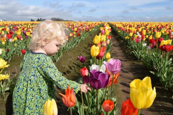 10 gorgeous flower festivals in Portland (+ nearby) - To & Fro Fam