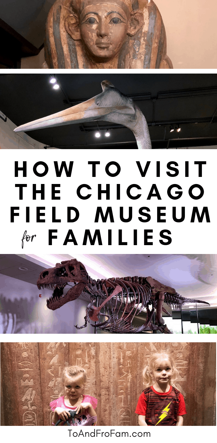13 tips to visit the Field Museum for families. Chicago vacations with kids! To & Fro Fam