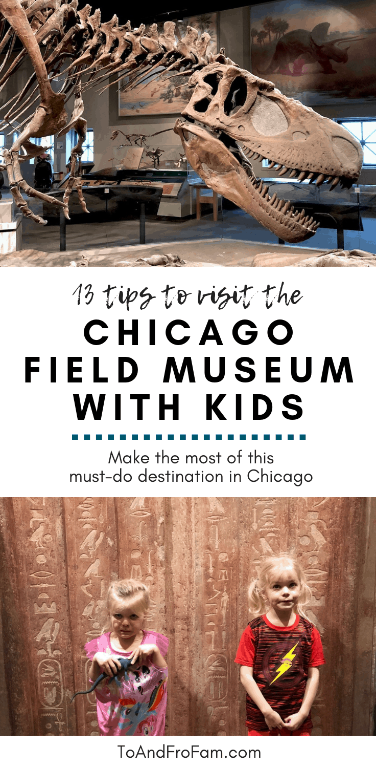13 tips to visit the Chicago Field Museum with kids: Chicago Family Travel. To & Fro Fam