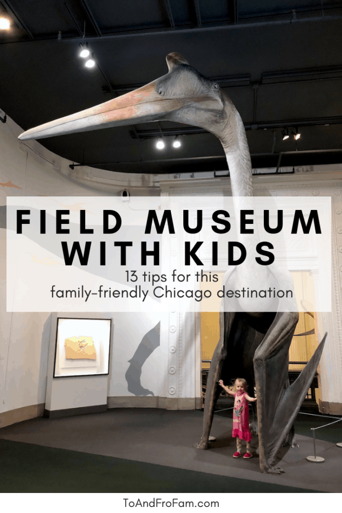 For your Chicago family vacation, these 13 tips to make the most of your trip to the Field Museum with kids is a must-read! To & Fro Fam