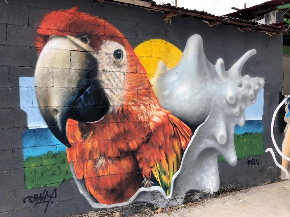 If you take a vacation in Tulum, don't spend alllll your time on the beach; go into town, too! Wander side streets to discover beautiful global street art. To & Fro Fam