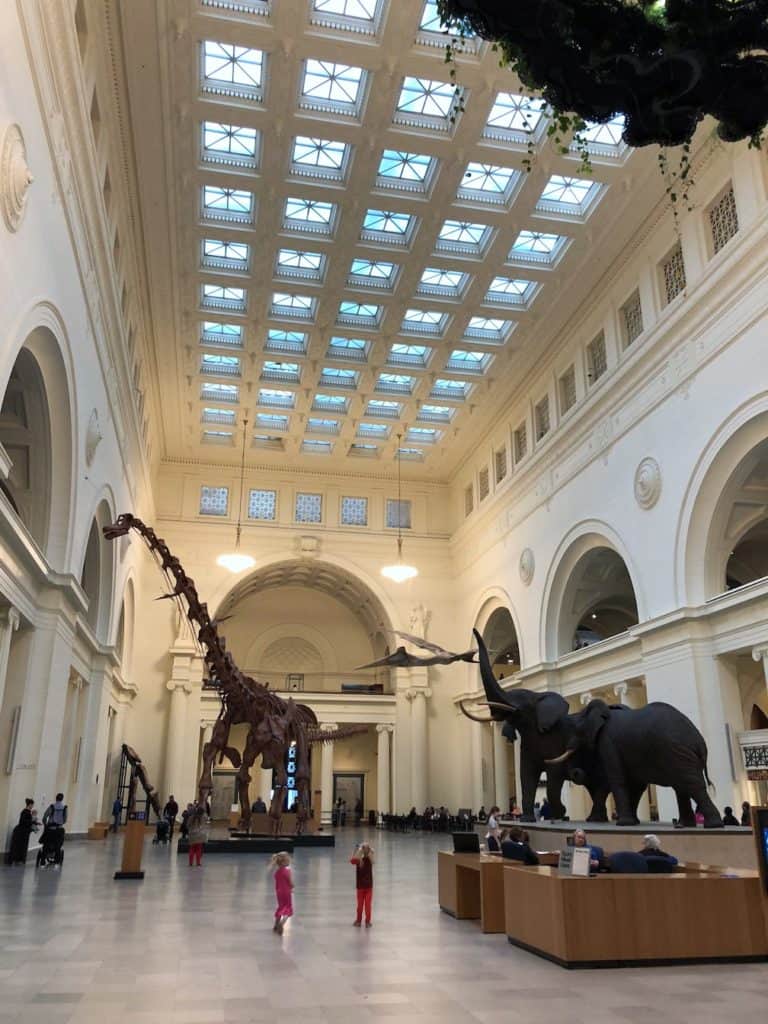 Going to the Field Museum with kids? This post has everything you need to make the most of your Chicago family vacation, including visiting dinosaurs! To & Fro Fam