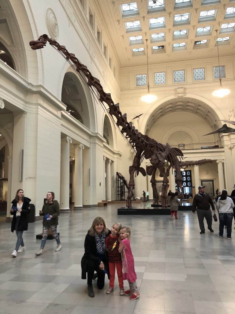Get the most out of your visit to the Chicago Field Museum with kids / To & Fro Fam