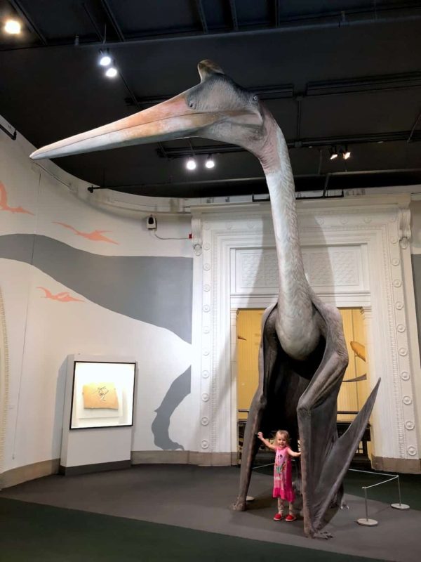 Make the most of a trip to the Field Museum with kids: Chicago family ...