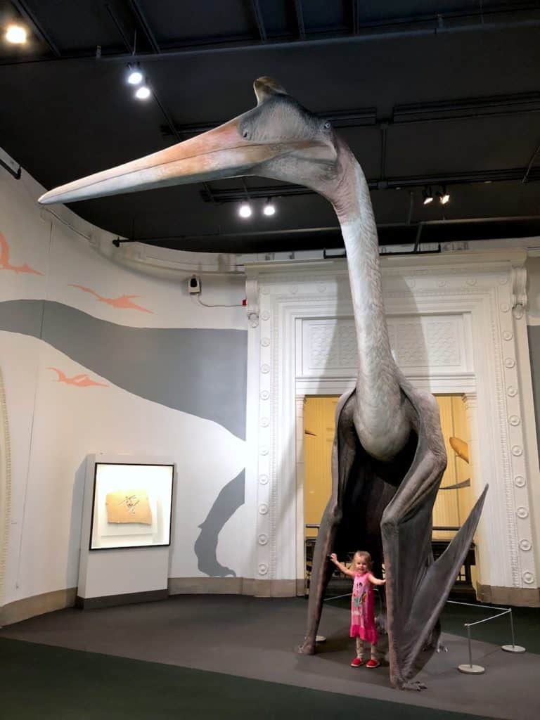 How to visit the Chicago Field Museum with kids - 13 tips. To & Fro Fam