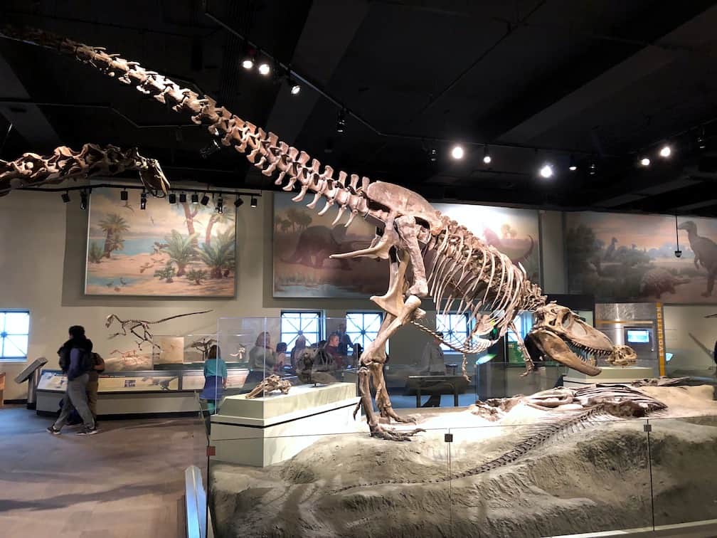 How to make the most of a visit to the Chicago Field Museum. To & Fro Fam