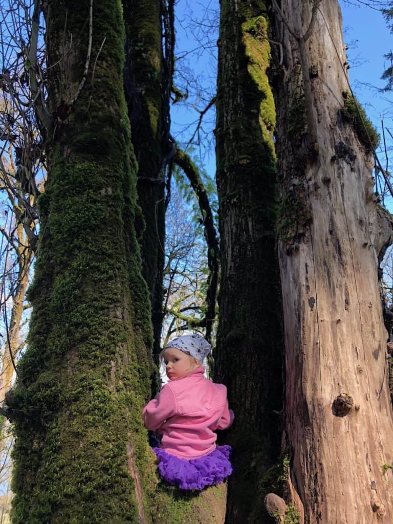 This family friendly hike near Portland is great for kids. To & Fro Fam