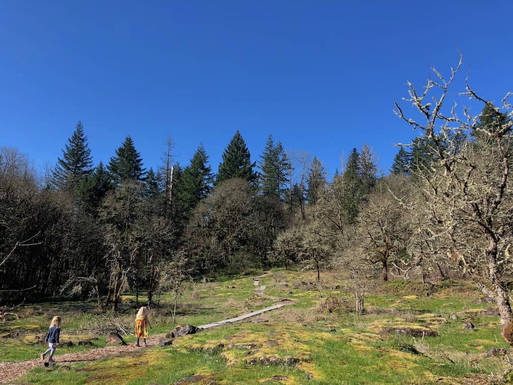 This kid friendly hike near Portland is the perfect length for kids and has wildflowers in the spring! To & Fro Fam