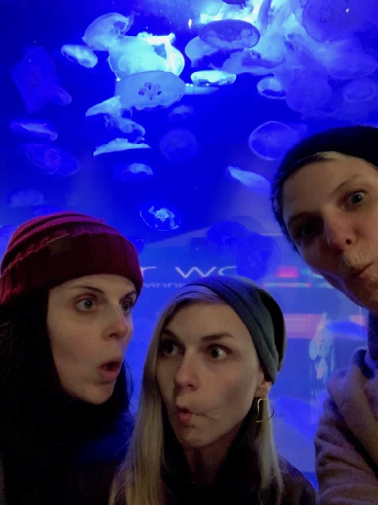 Jellyfish faces!