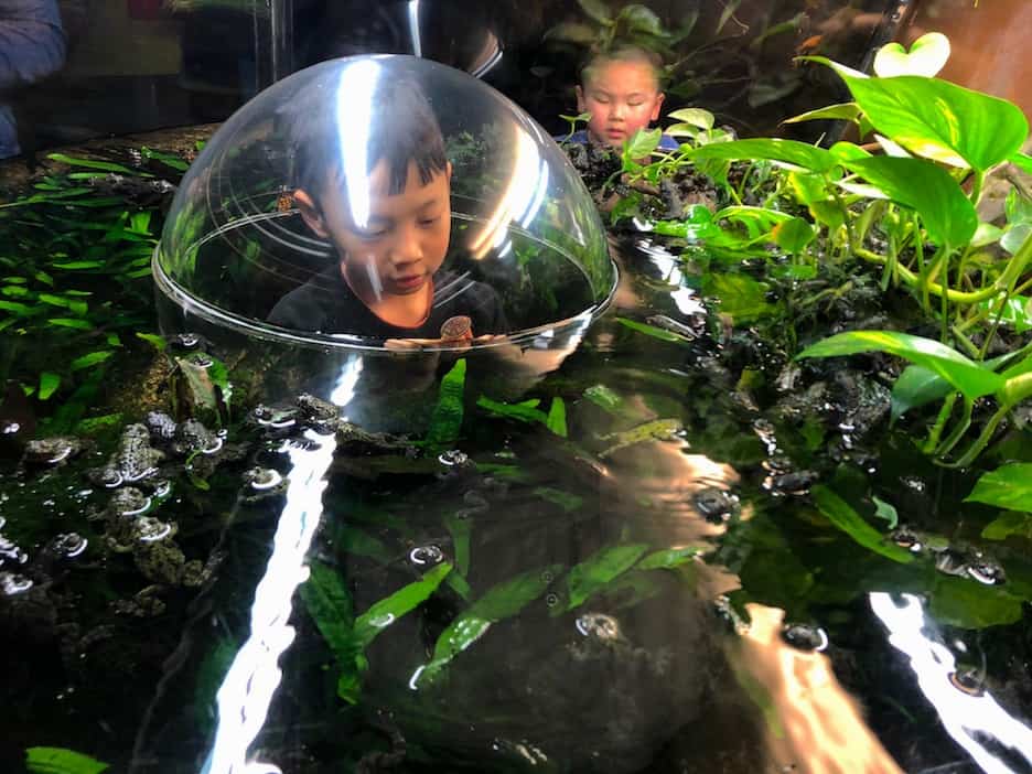 Vancouver BC with kids: visiting Canada's largest aquarium / To & Fro Fam